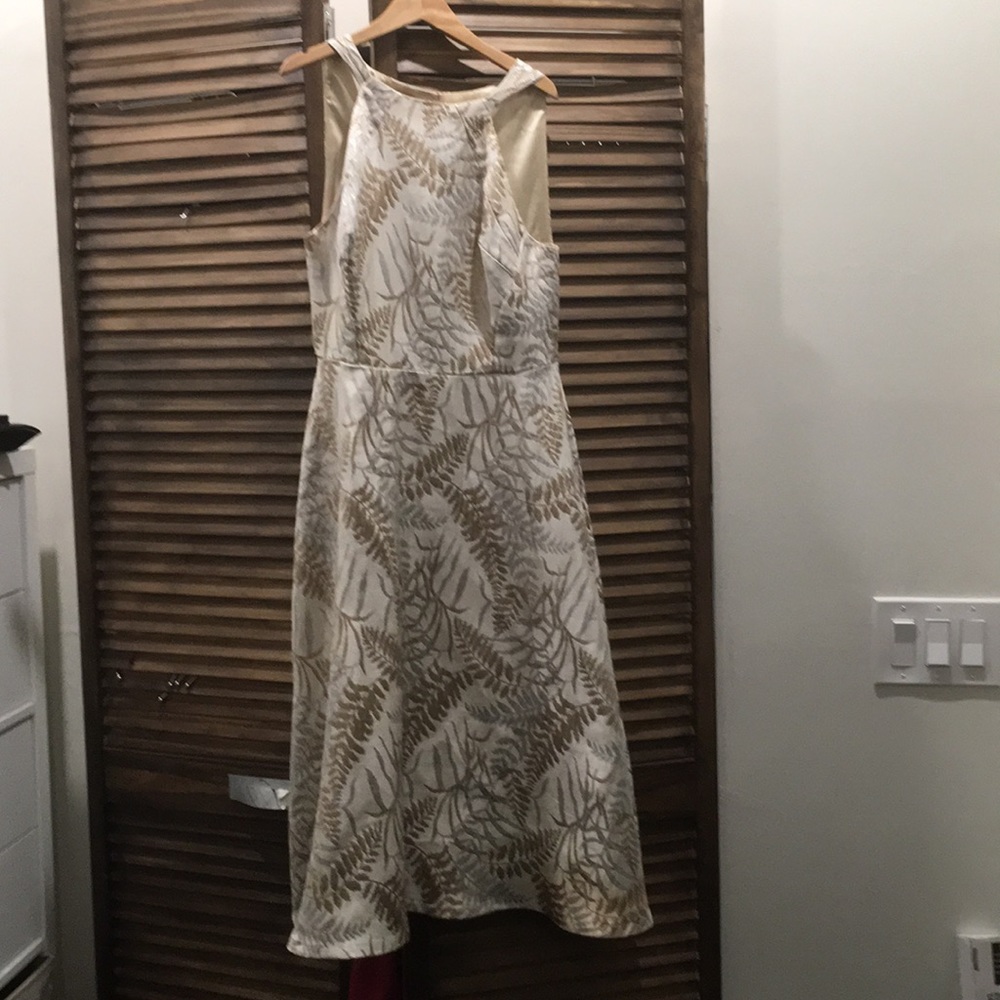 Eva Franco Cream Dress